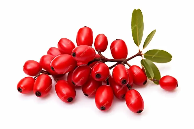 قیمت خرید زرشک پفکی تبریز + خواص، معایب و مزایا